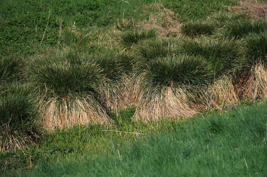 Unterwegs am Rosenteich