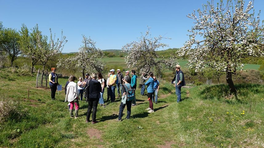 Streuobsttag am Neust&auml;dter Rosenteich