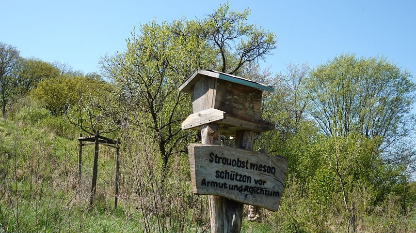 Streuobsttag am Neust&auml;dter Rosenteich