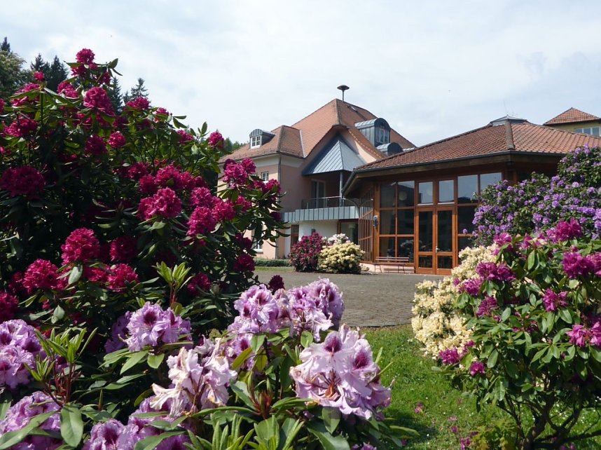 Rhododendronfest in S&uuml;lzhayn