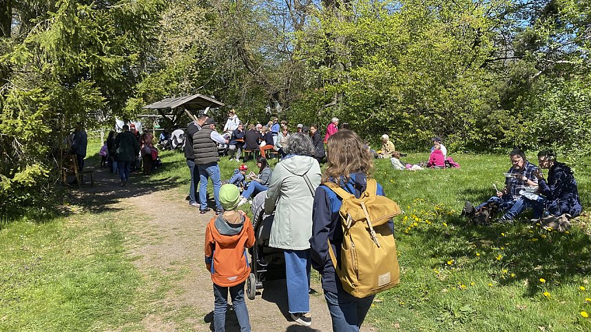 Almauftrieb Sophienhof 2025