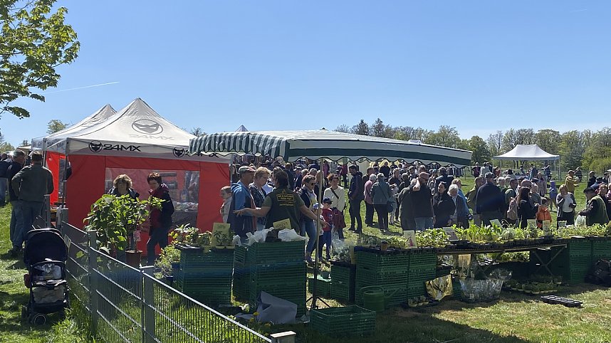 Almauftrieb Sophienhof 2025