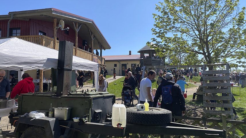 Almauftrieb Sophienhof 2025