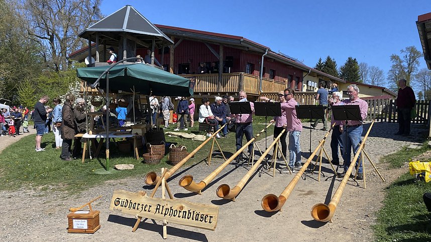 Almauftrieb Sophienhof 2025