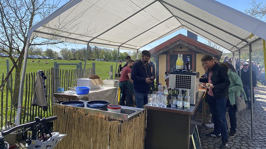 Almauftrieb Sophienhof 2025