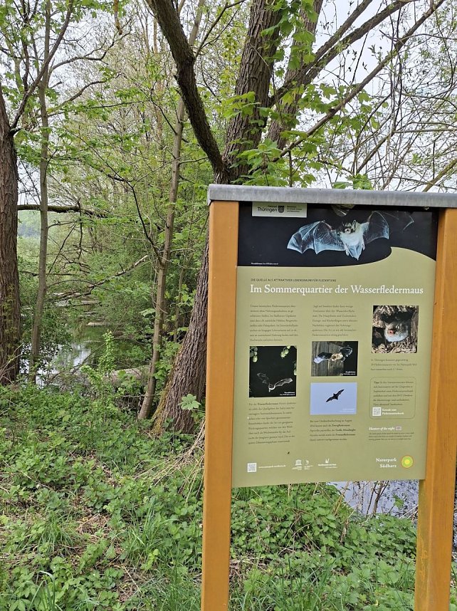 Impressionen von einer doppelten Harzquerung