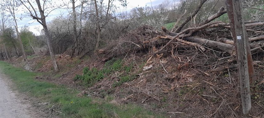 So sieht es entlang der Gumpe aus