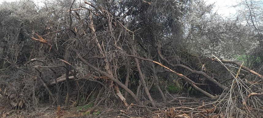 So sieht es entlang der Gumpe aus