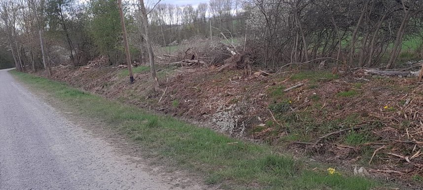 So sieht es entlang der Gumpe aus