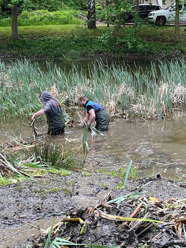 Arbeitseinsatz in Friedrichsthal