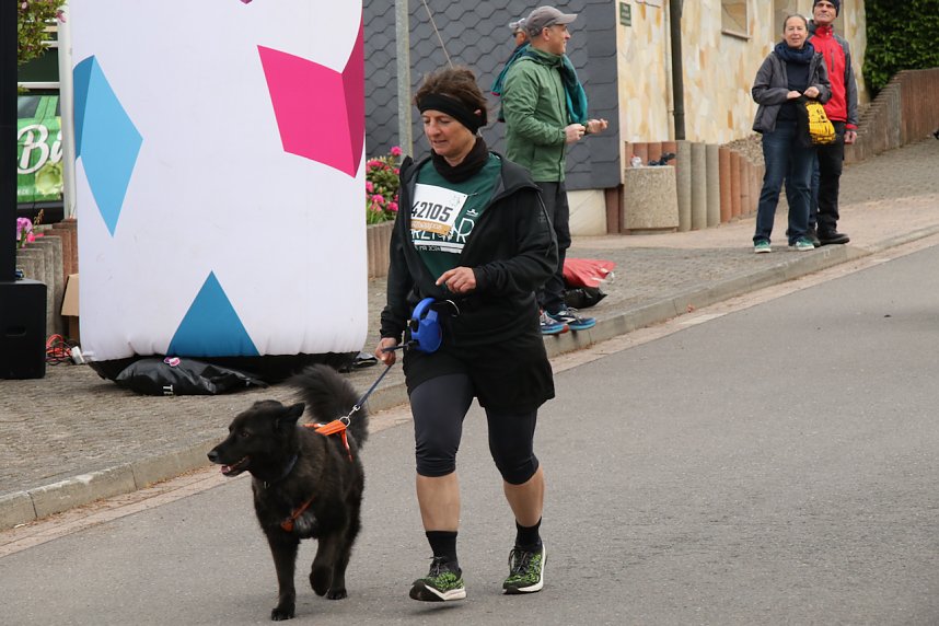 11. Harztorlauf - Am Start und auf der Strecke