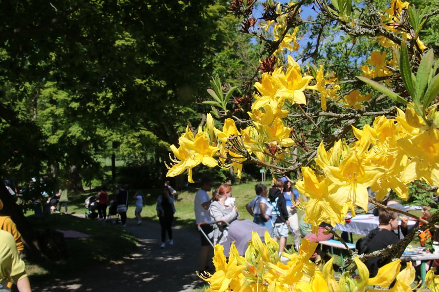 Mit dem Parkfest wurde am Sonntag die Freiluft-Saison im Park Hohenrode er&ouml;ffnet