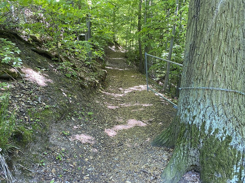 Gesperrter Wanderweg hinter den Wartt&uuml;rmchen in Nordhausen. 