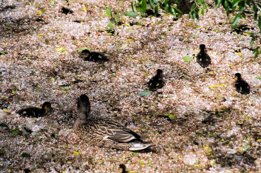 Peter Blei unterwegs entlang der Zorge