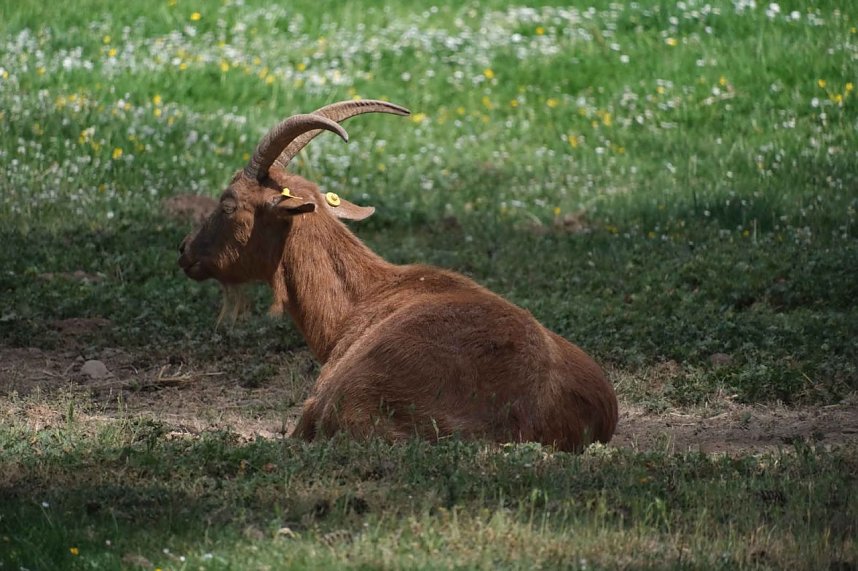 Peter Blei unterwegs entlang der Zorge