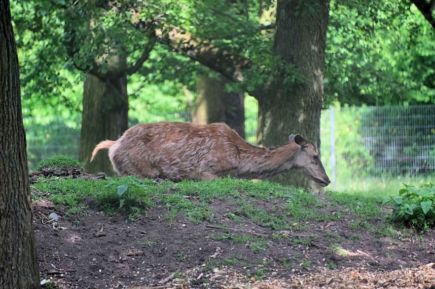 Peter Blei unterwegs entlang der Zorge