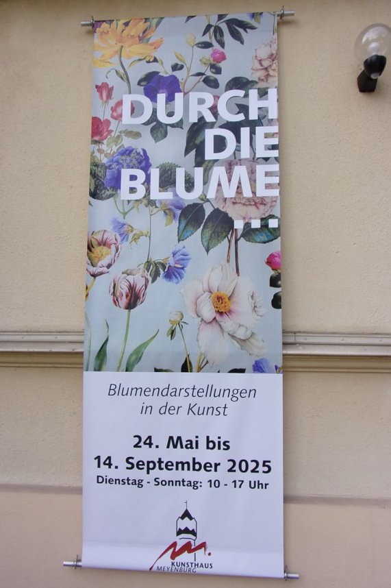 Durch die Blume - neue Ausstellung im Kunsthaus