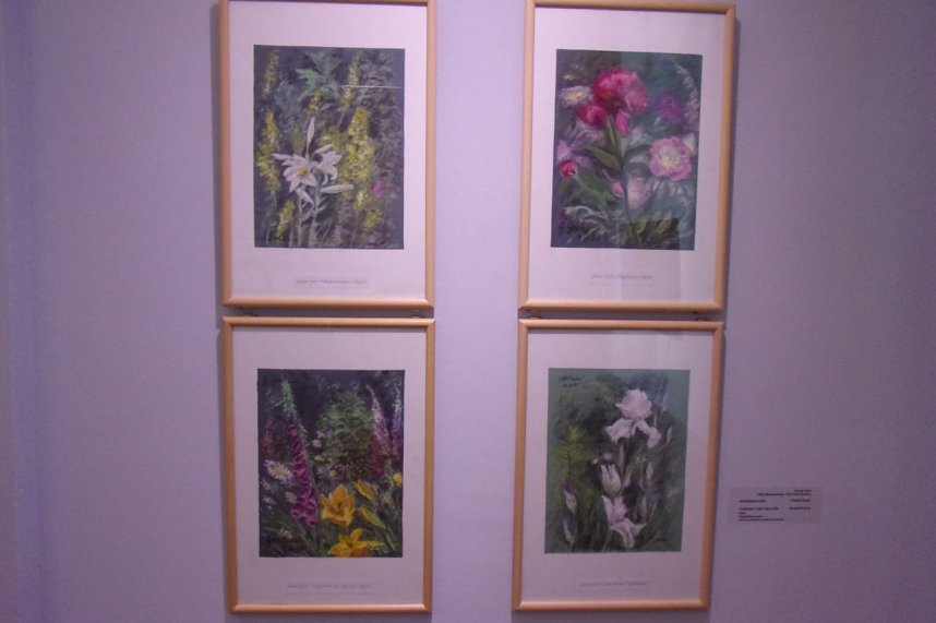 Durch die Blume - neue Ausstellung im Kunsthaus