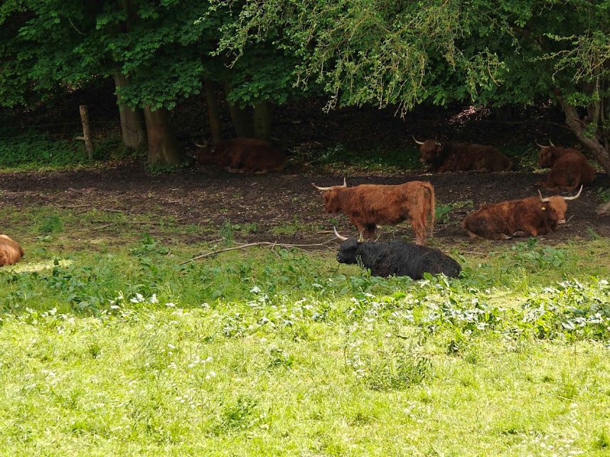 Himmelfahrtsausflug nach Krimderode