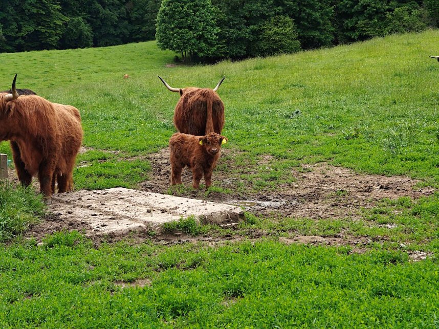 Himmelfahrtsausflug nach Krimderode