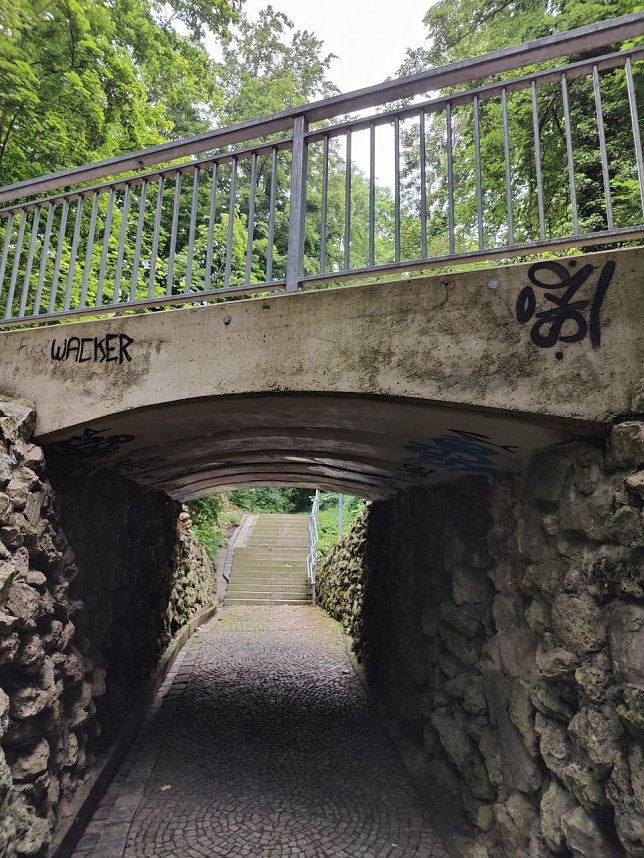 Verunstaltende Graffitis im Nordh&auml;user Gehege