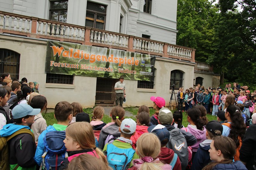Waldjugendspiele 2025 im Park Hohenrode