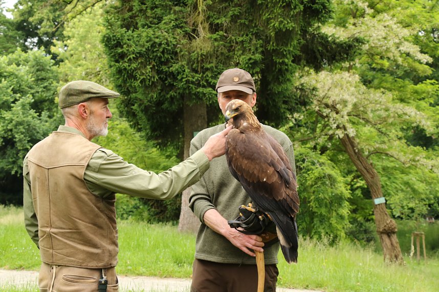 Waldjugendspiele 2025 im Park Hohenrode