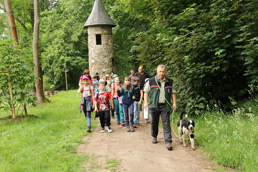 Waldjugendspiele 2025 im Park Hohenrode