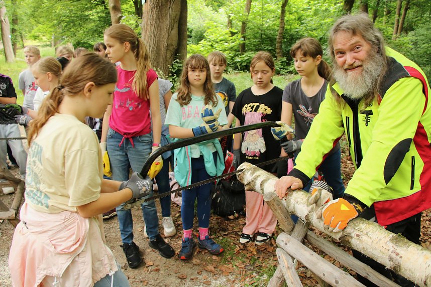 Waldjugendspiele 2025 im Park Hohenrode