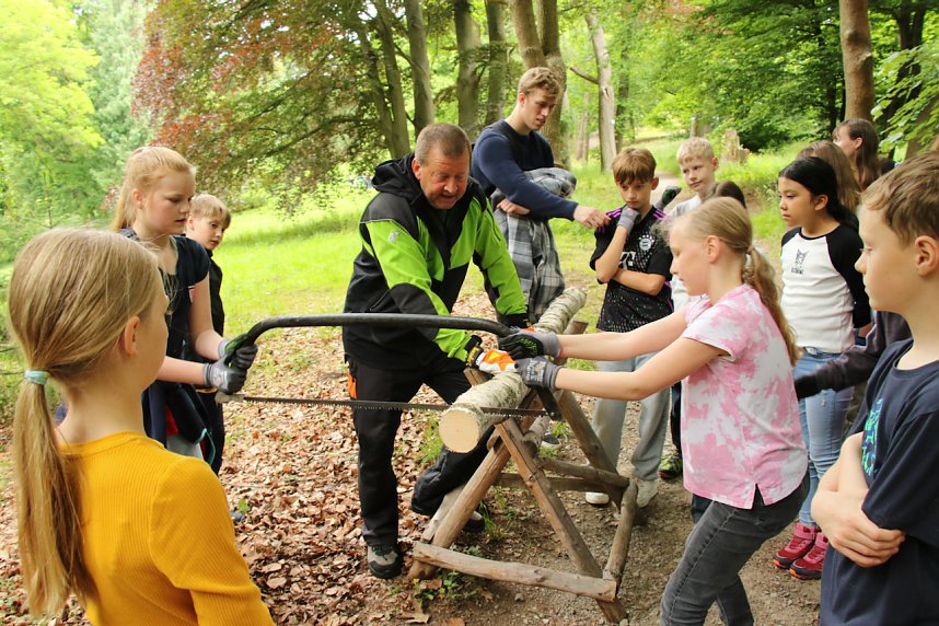 Waldjugendspiele 2025 im Park Hohenrode