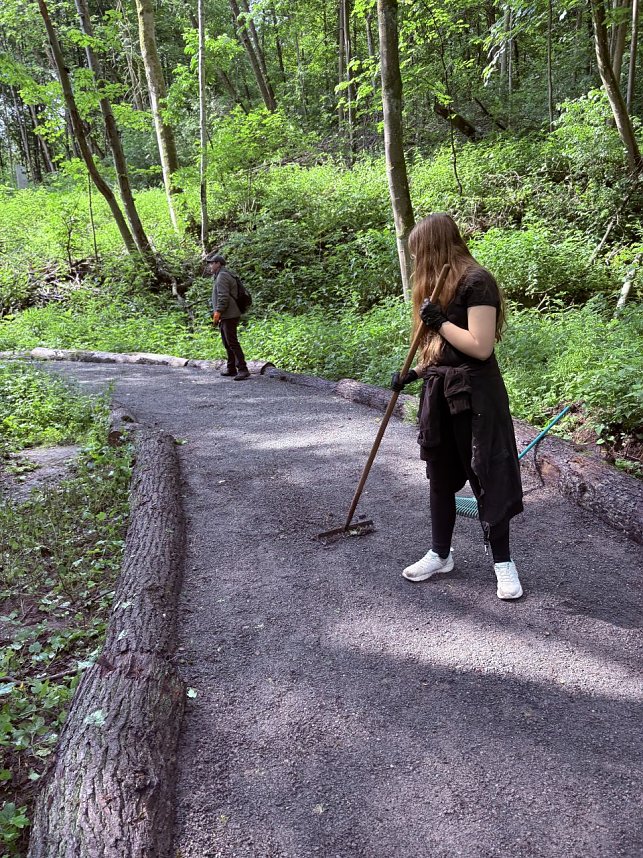 Zum Freiwilligentag engagierten sich die Sch&uuml;lerinnen und Sch&uuml;ler am Gedenkort Ellrich-Juliush&uuml;tte