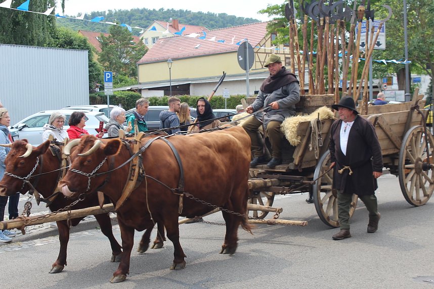 Festumzug zum 900. Geburtstag Sondershausens