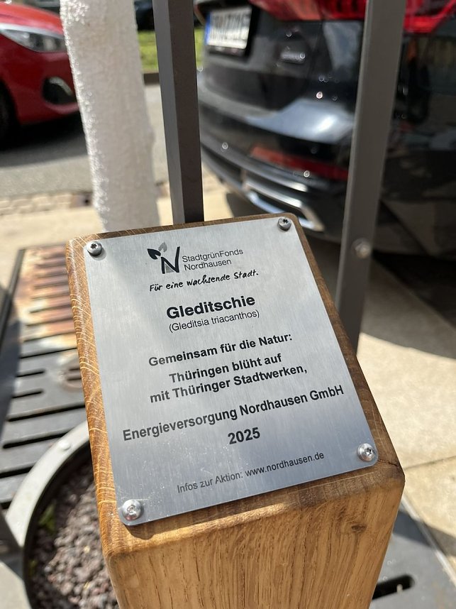 Die EVN unterst&uuml;tzt die Pflanzaktion "Th&uuml;ringen bl&uuml;ht auf"