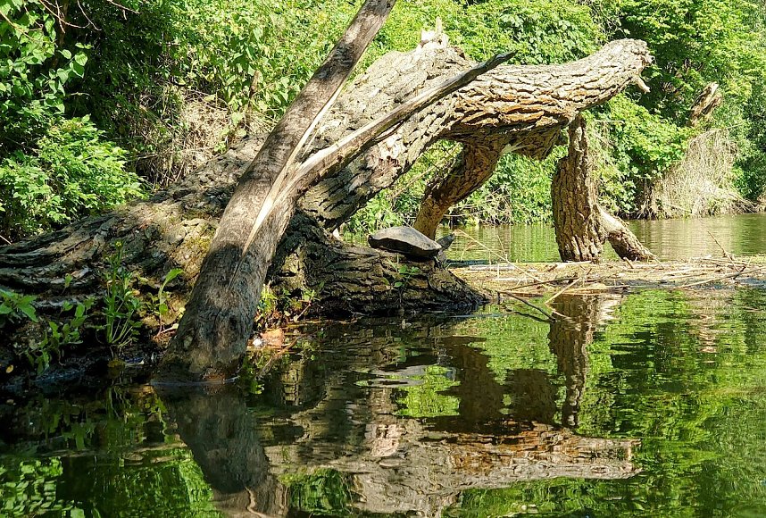 Sch&uuml;ler des Humboldt Gymnasiums auf der Unstrut