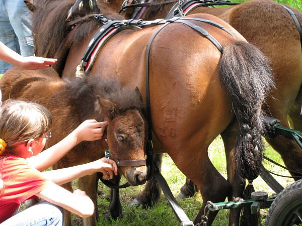 Pfingsten in Bad Elster