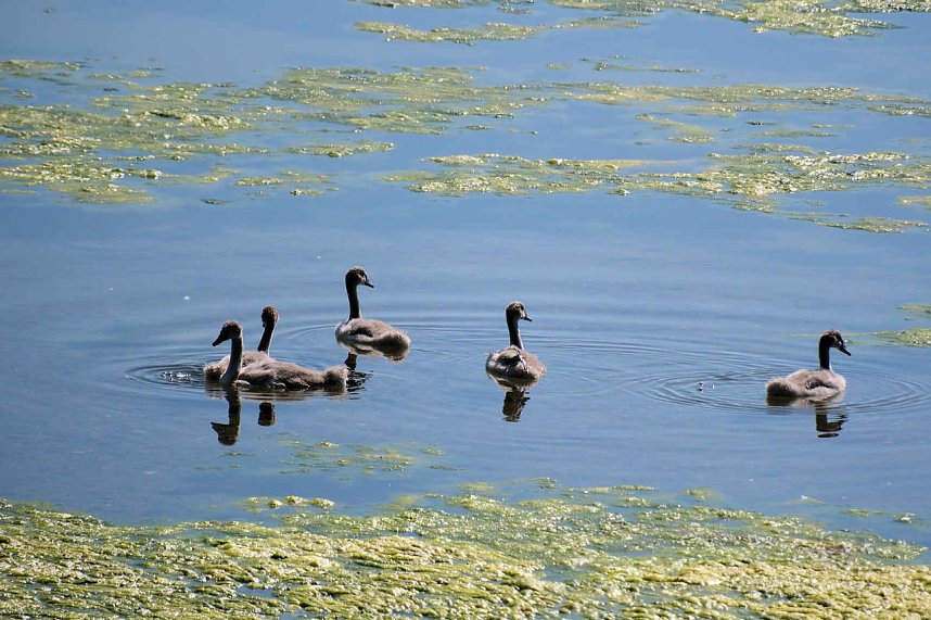 Peter Blei unterwegs am Stausee Kelbra 