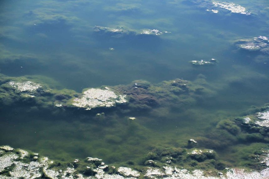 Peter Blei unterwegs am Stausee Kelbra 