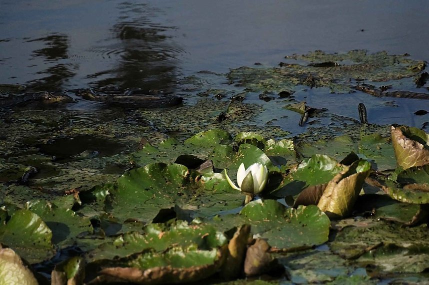 Peter Blei unterwegs im S&uuml;dharz