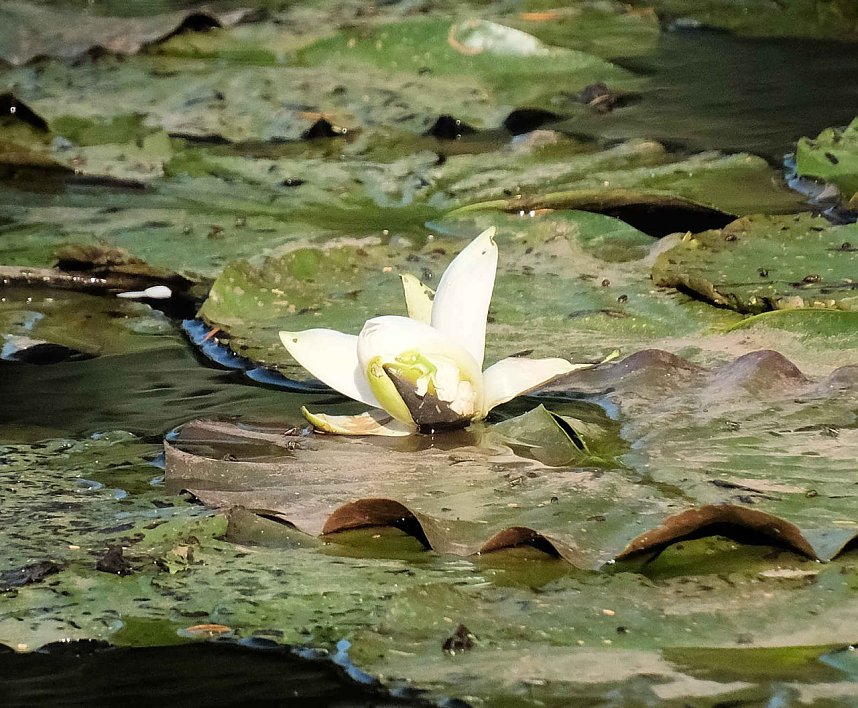 Peter Blei unterwegs im S&uuml;dharz
