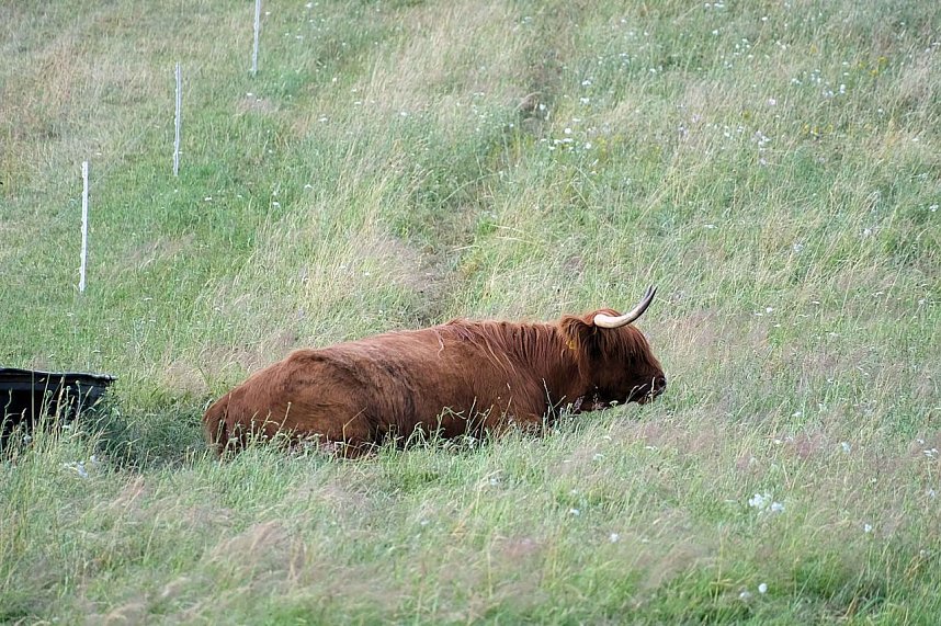 Peter Blei unterwegs im S&uuml;dharz