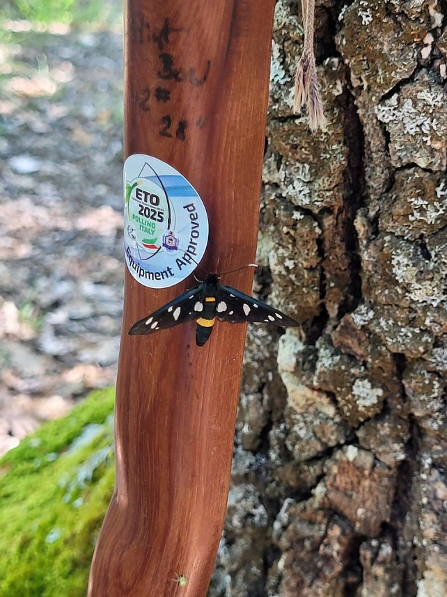 Bogenschie&szlig;en in Italien