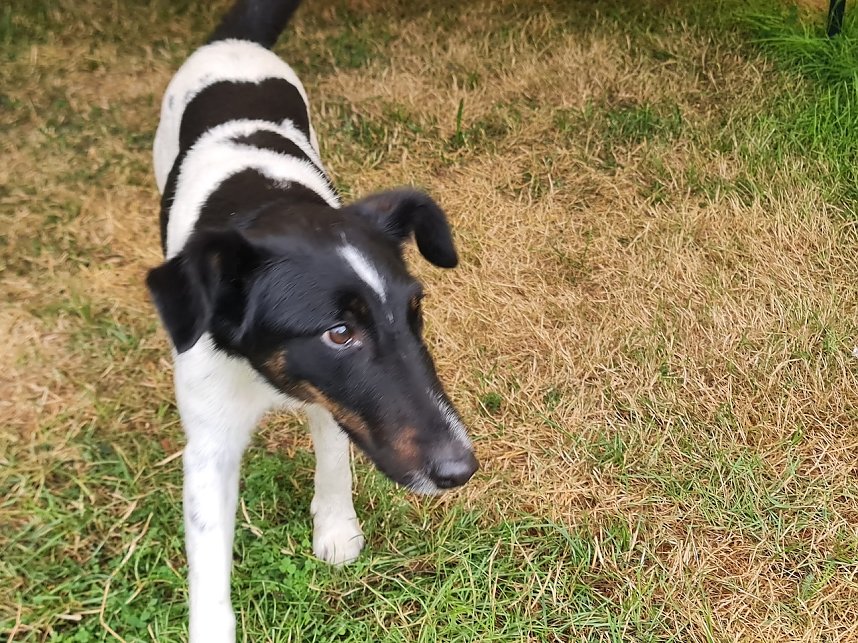 MZ-Treffen in Harzungen