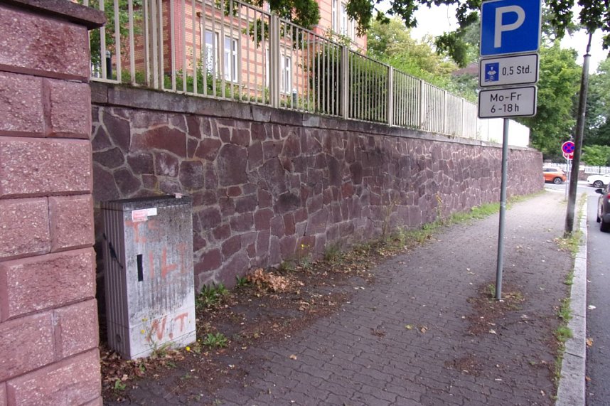 Nicht das Gr&uuml;n das man sich w&uuml;nscht, meint Anton Adlerauge