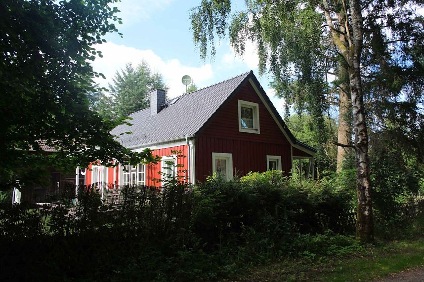 Peter Blei unterwegs im Birkenmoor