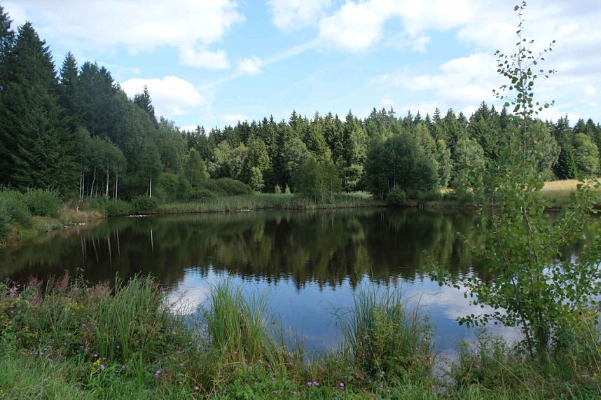 Peter Blei unterwegs im Birkenmoor