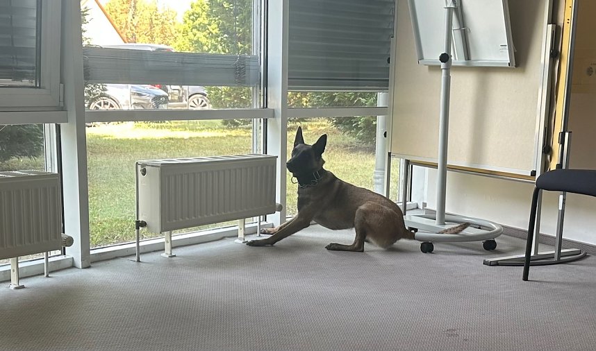 "Blaulichttag" auf dem Platz der Gewerkschaften 