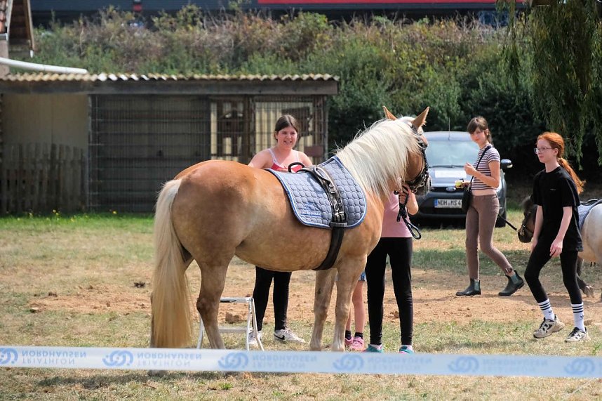 Scheinenhof-Fest mit Hobby Horsing