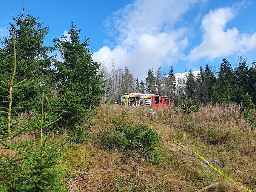 Waldbrand&uuml;bung der Feuerwehren 