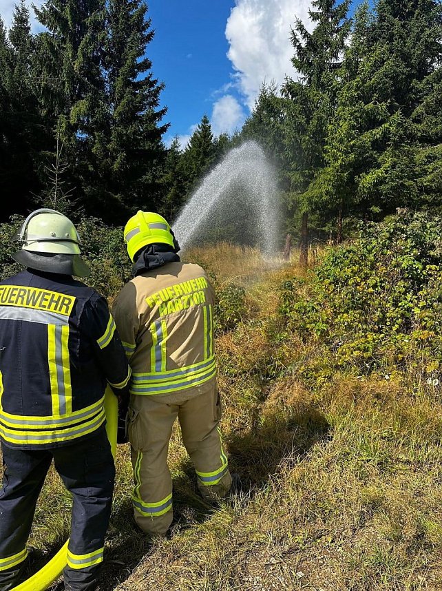 Waldbrand&uuml;bung der Feuerwehren 
