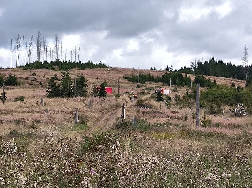 Waldbrand&uuml;bung der Feuerwehren 